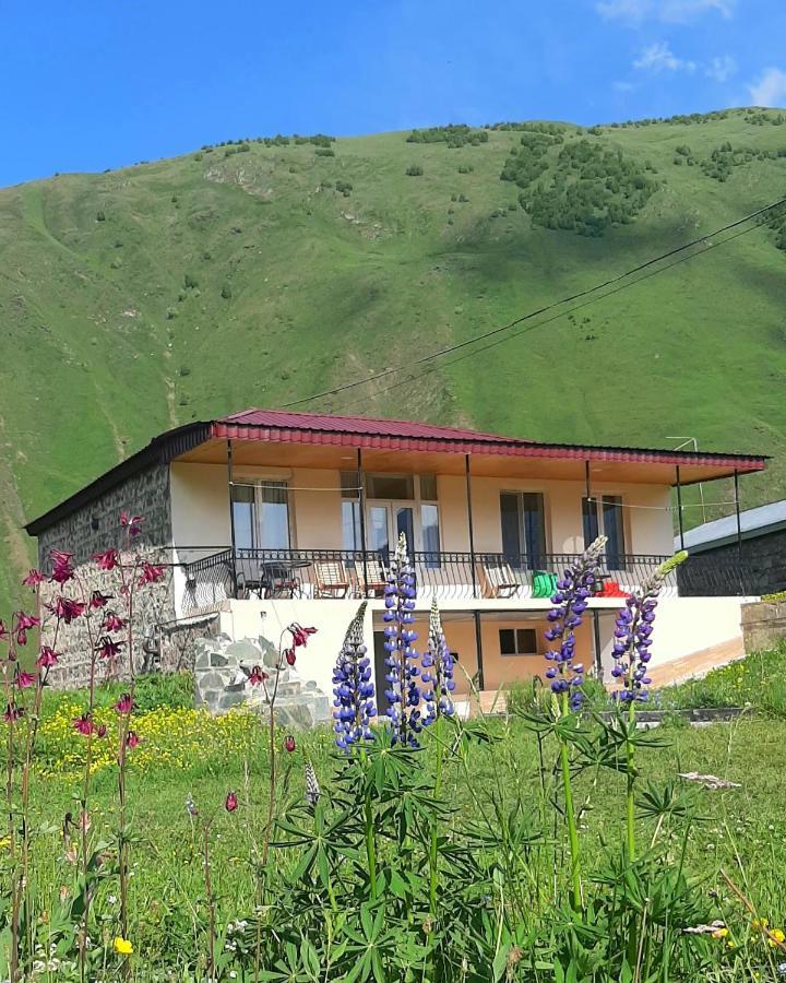 Cozy Hotel Kazbegi Exteriör bild